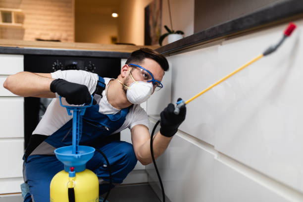 Best Ant Control Services  in Edmore, MI