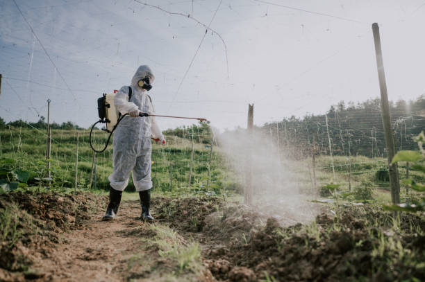 Best Best Pest Control Companies  in Edmore, MI