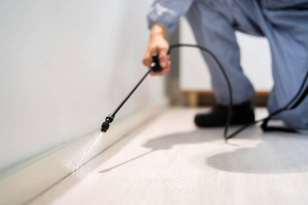 Best Residential Pest Control  in Edmore, MI