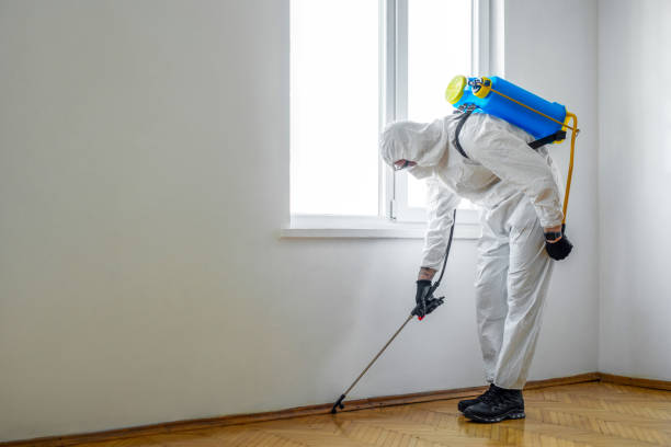 Best Termite Control Services  in Edmore, MI