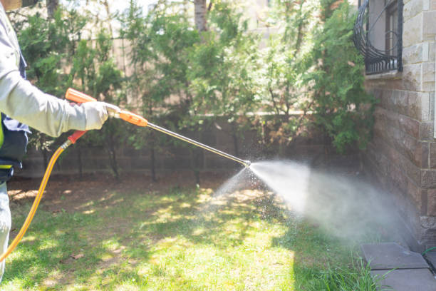 Best Exterminator Services  in Edmore, MI