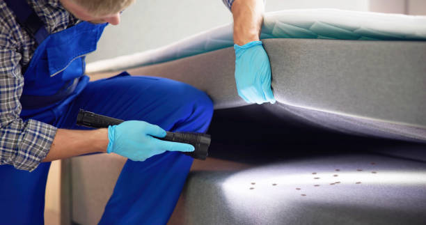 Best Exterminator Services  in Edmore, MI
