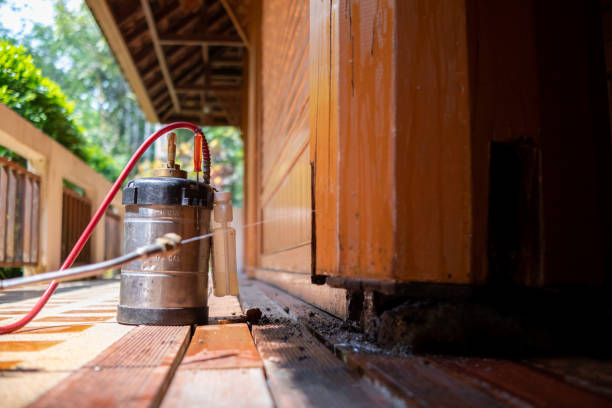 Best Affordable Pest Control Services  in Edmore, MI