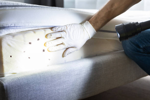 Best Pest Prevention Services  in Edmore, MI