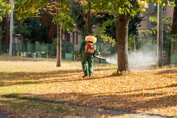 Best Best Pest Control Companies  in Edmore, MI