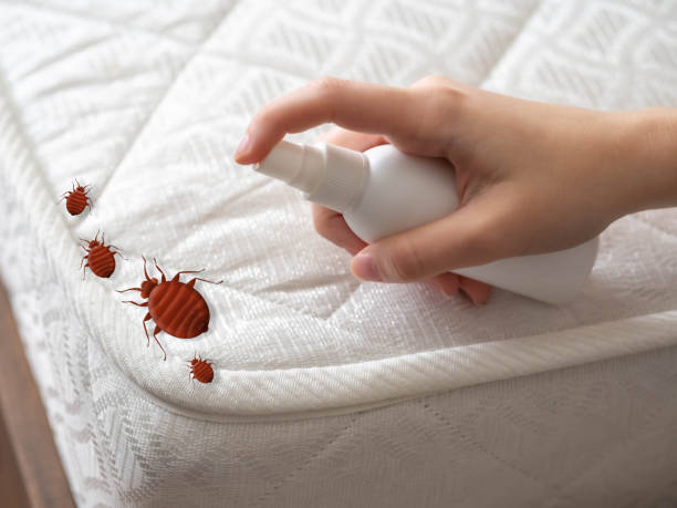 Best Emergency Pest Control  in Edmore, MI