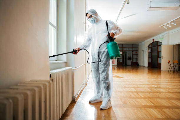 Best Wasp Removal Services  in Edmore, MI