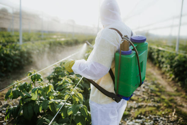 Best Emergency Pest Control  in Edmore, MI
